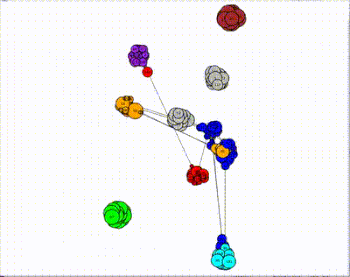Dynamic infrastructures of communication help swarms to solve problems.